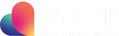 vidink logo